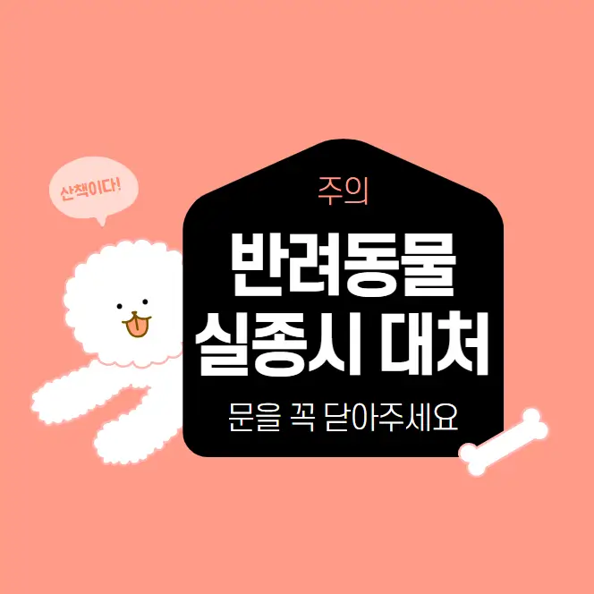  반려동물 실종시 대처방법과 애완동물 구조시 행동요령