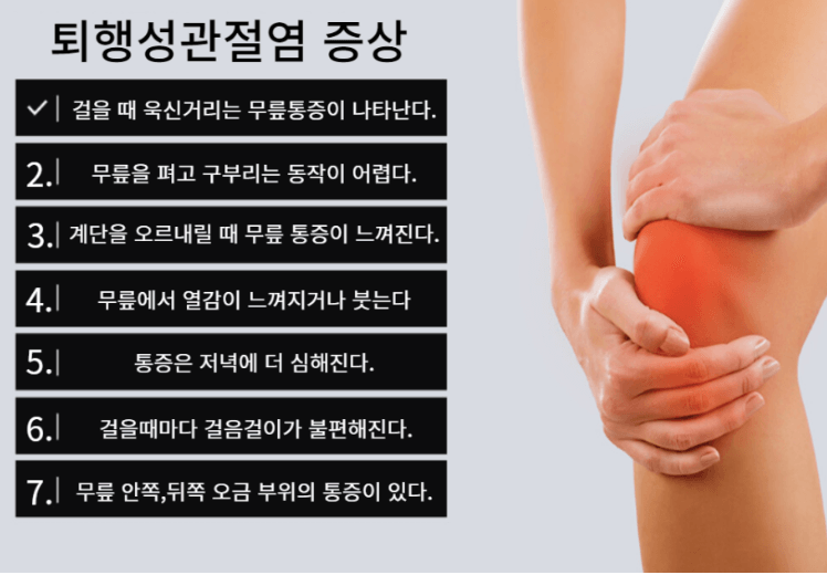 호관원 프리미엄 가격 효과