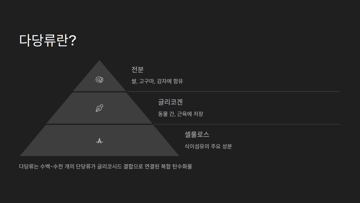 다당류 단당류 차이