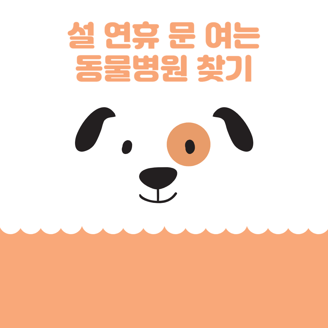 아로스 팝업