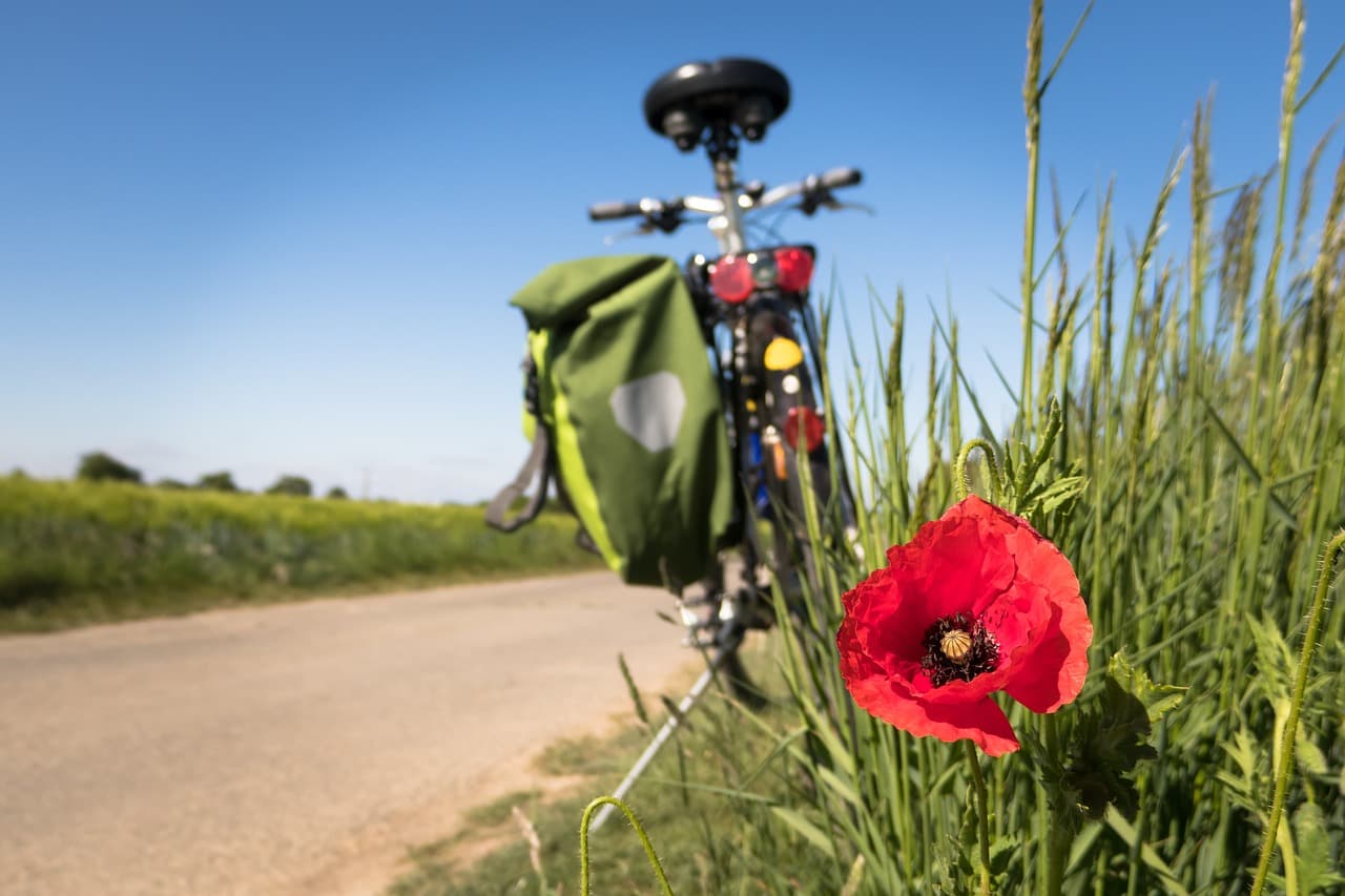 자전거로 출퇴근의 즐거움 : 이유와 장점