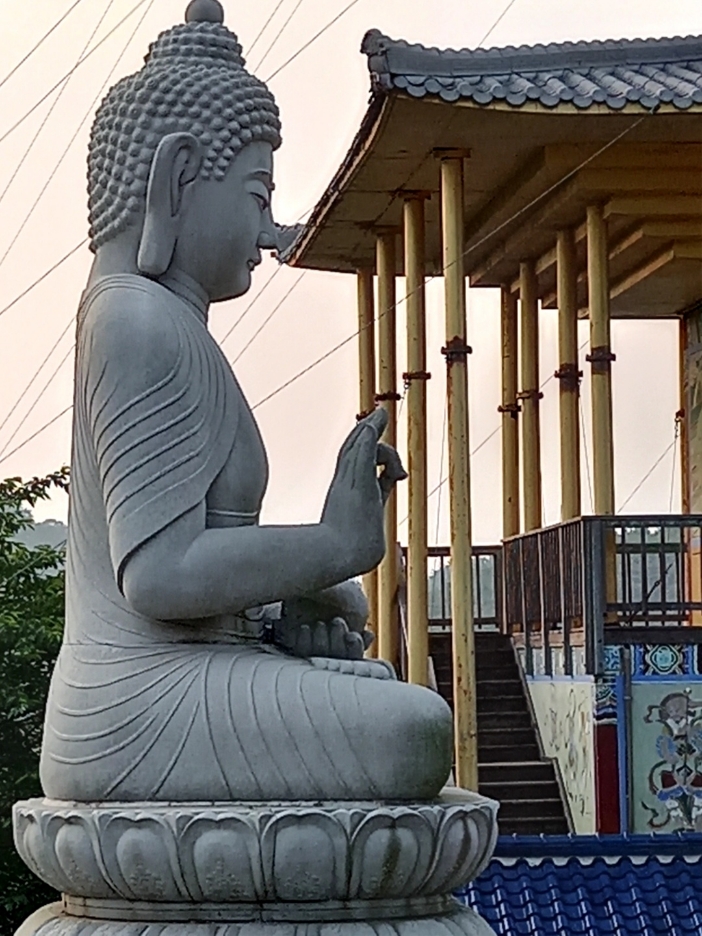 img.jpg