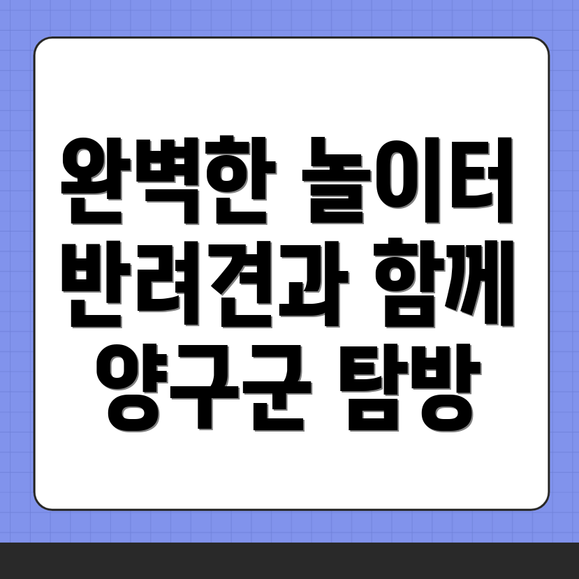양구군 반려견 놀이터