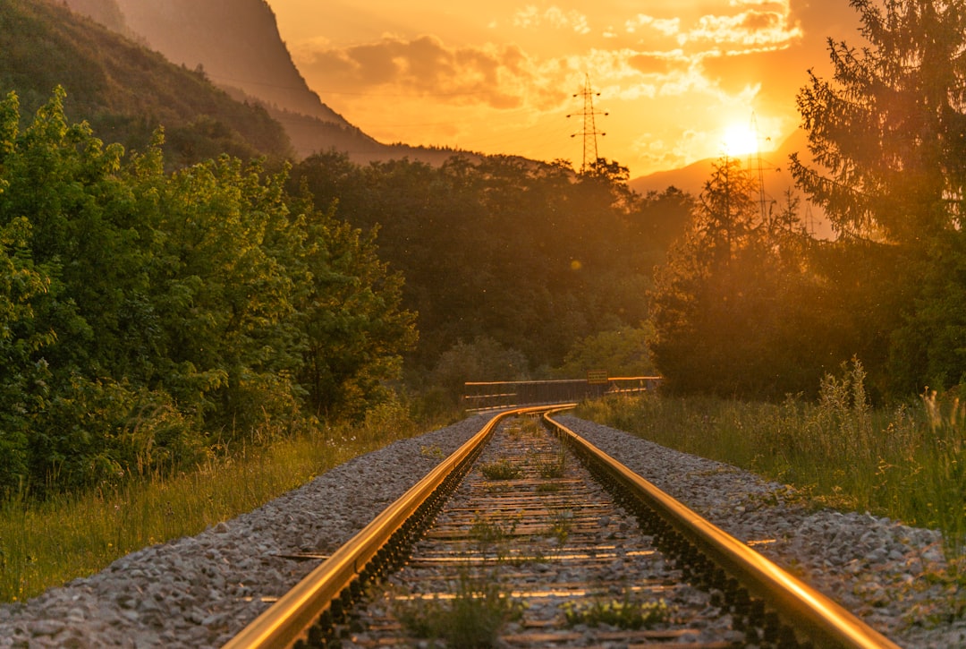 Train