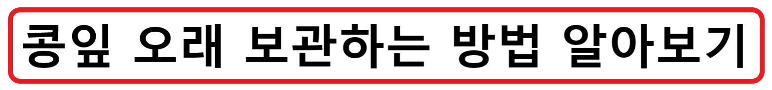 땅콩 수확시기? 땅콩은 언제 수확하는게 좋을까? 그리고 어떻게 수확할까?