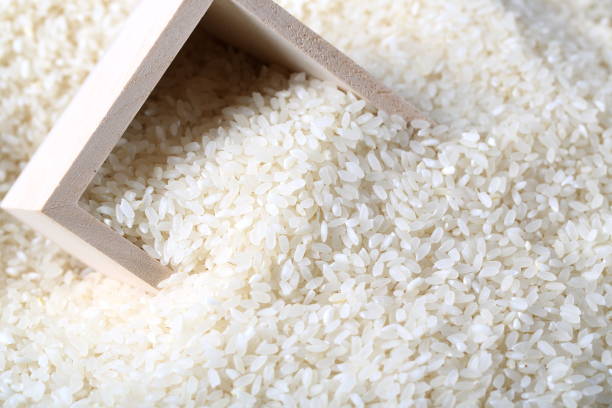 쌀 세척 방법