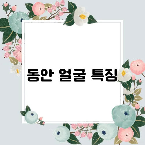 동안 얼굴 특징