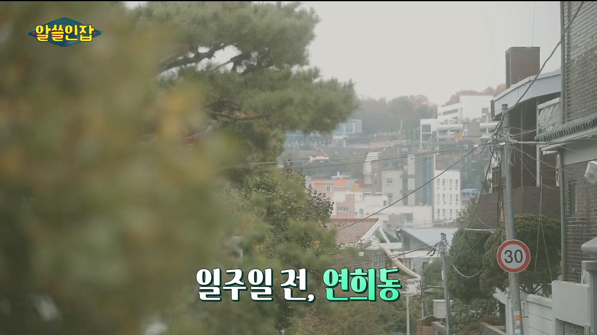 알쓸인잡.E03.221216p.H264-F1RST.mp4_20221218_172757.538.jpg