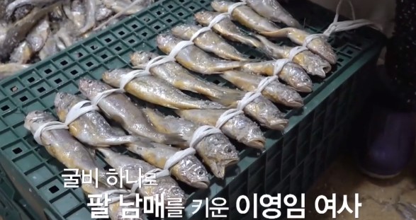 영광굴비