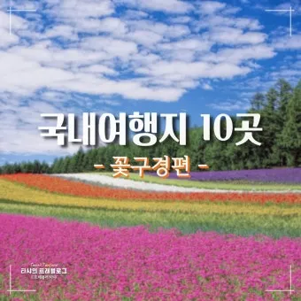 6월 국내여행 추천지 BEST 7곳 지금 떠나기 딱 좋은 완벽한 힐링 명소 총정리_9