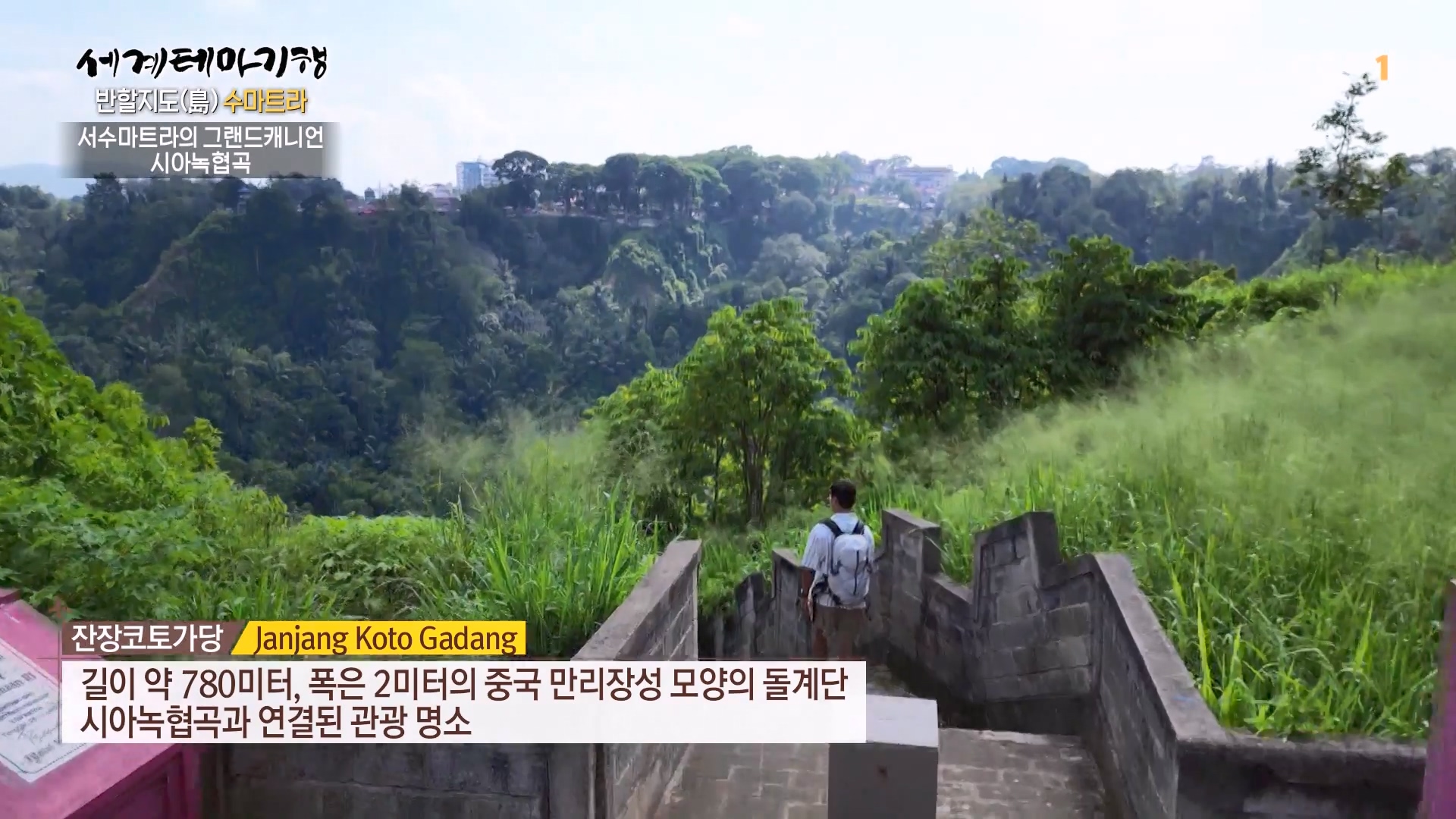 세계테마기행.230803.반할지도(島) 수마트라-4.미낭카바우에 반하다.mp4_20230820_131536.612.jpg