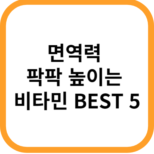 면역력 팍팍 높이는 비타민 BEST 5