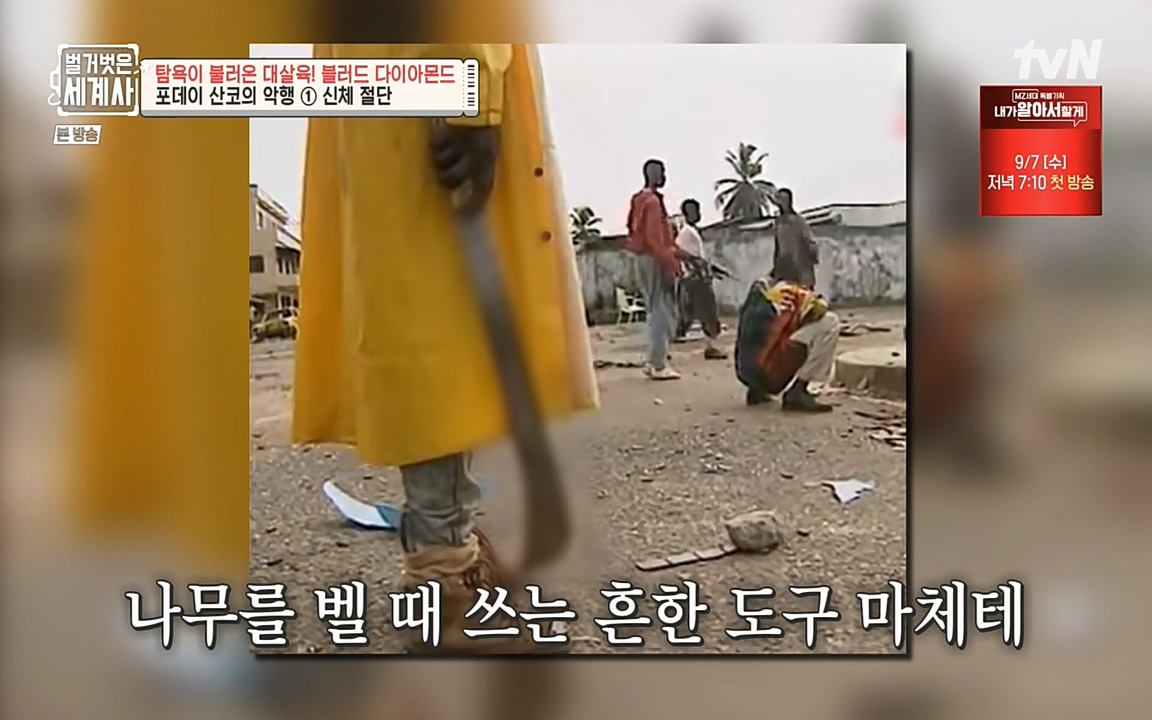 벌거벗은 세계사.E62.220831p-NEXT.mp4_20220905_202213.101.jpg