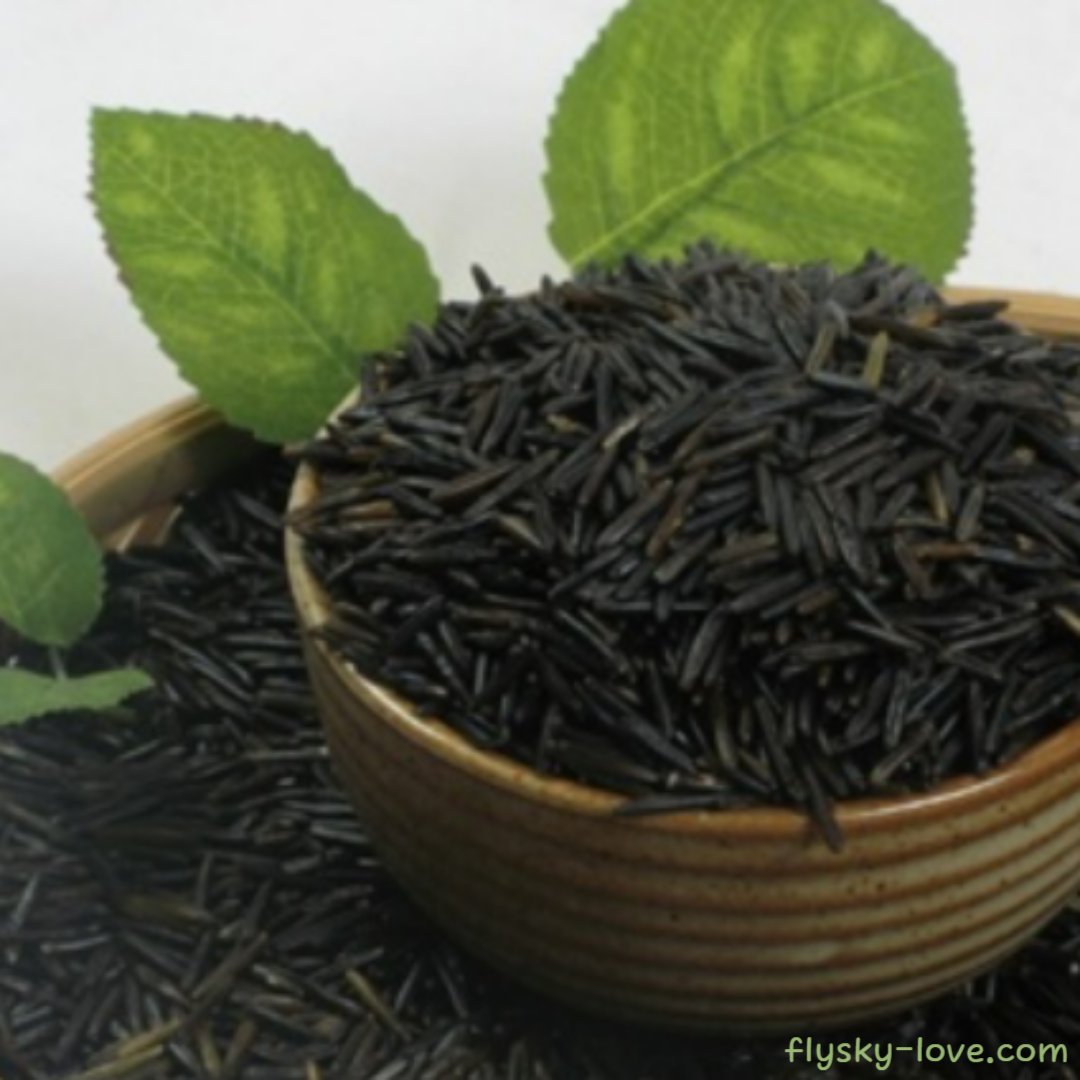 와일드 라이스 (Wild Rice) 효능 영양성분 활용법 부작용