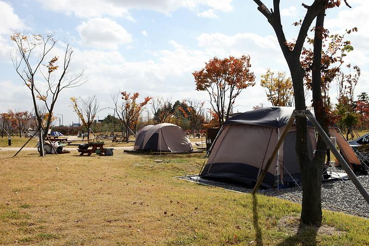 일산 킨텍스캠핑장
주소: 경기 고양시 일산서구 킨텍스로 217-25 (대화동)