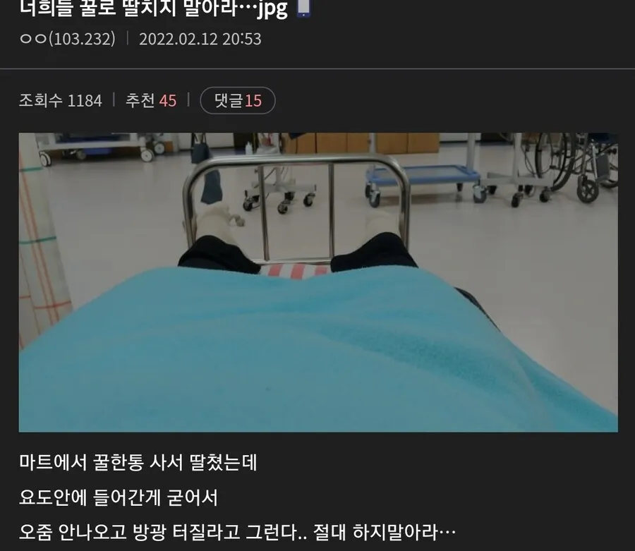  꿀로 딸친 자의 최후