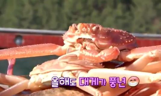  울진대게, 6시내고향 대게가족의 새해 울진 대게 파는곳