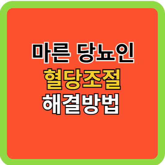마른 당뇨인 혈당조절 해결방법