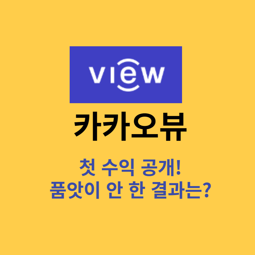 카카오뷰 첫 수익 공개