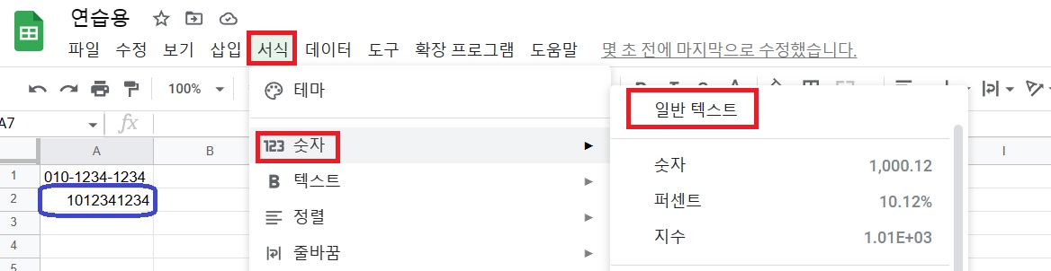 서식에서 일반텍스트 지정하기