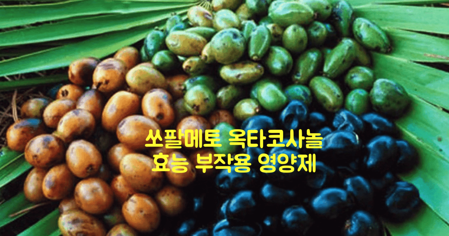 쏘팔메토 옥타코사놀