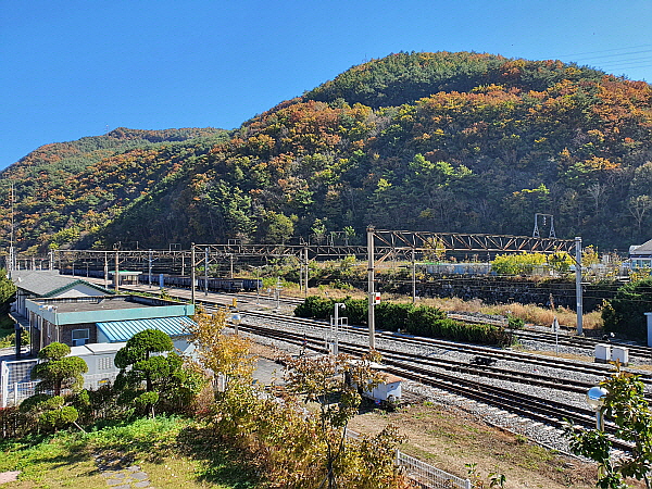 한국 철도 노선 태백선