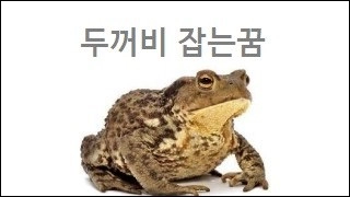 두꺼비 잡는꿈