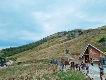 울산 간월재 : 억새로 유명한 영남 알프스 여행 정보 (애견 동반 가능)