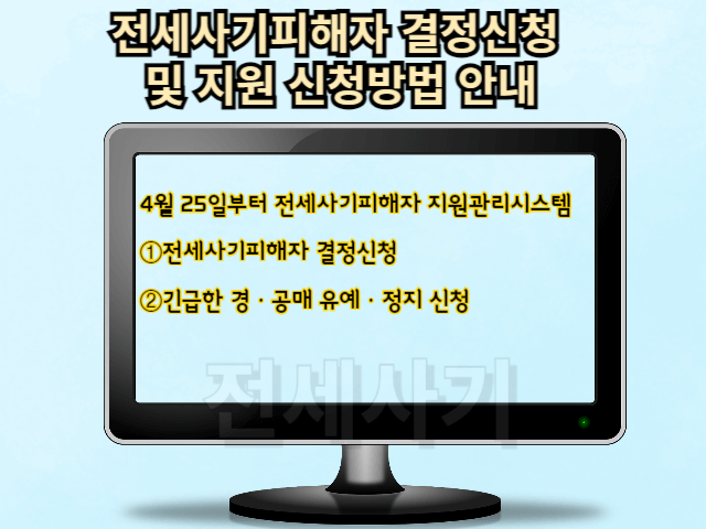 전세사기피해자