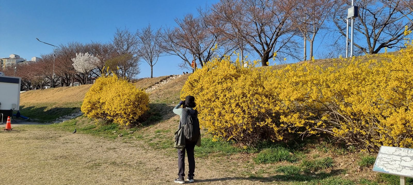 봄 풍경, 봄 밤 풍경 8