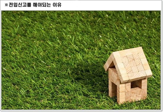 전입신고 과태료전입신고 안하면 과태료 8