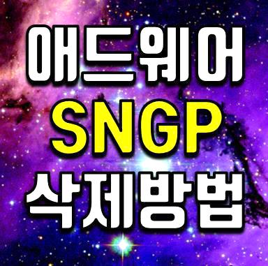 sngp 삭제