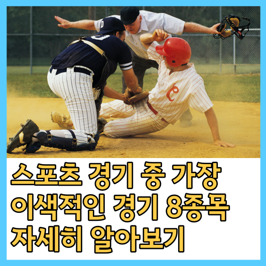  스포츠 경기 중 가장 이색적인 경기 8종목 자세히 알아보기
