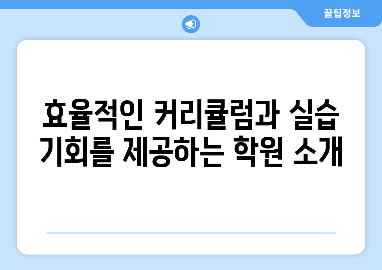 효율적인 커리큘럼과 실습 기회를 제공하는 학원 소개