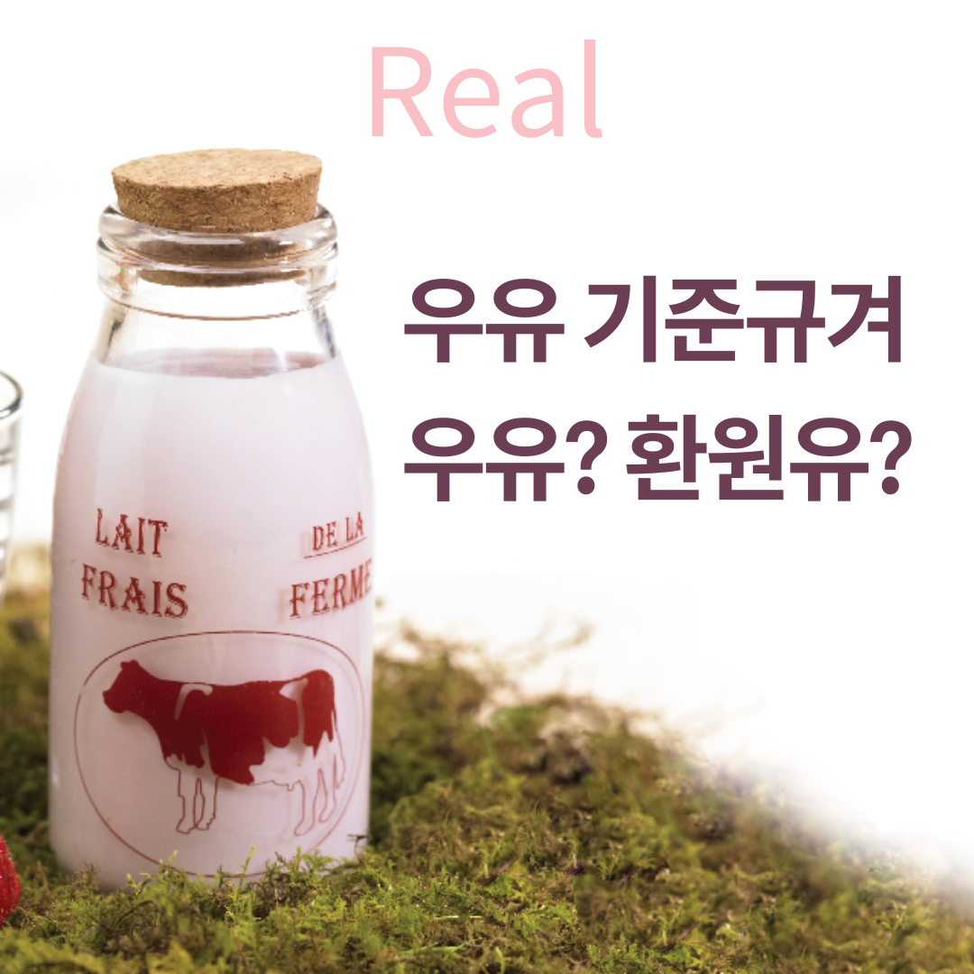  우유류 기준 규격 및 표시법 식품공전 파악