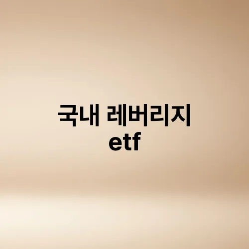 국내 레버리지 etf