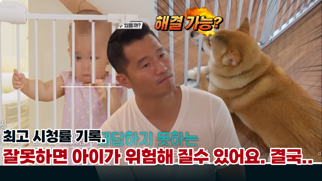  '분당 최고시청률 기록' 보호자를 위해서 방송 최초 촬영중단, 아기를 위협하는 '개 공격'