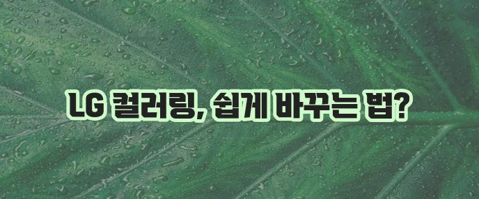 LG 컬러링 설정 바꾸는 법 확실하게 알아봐요!