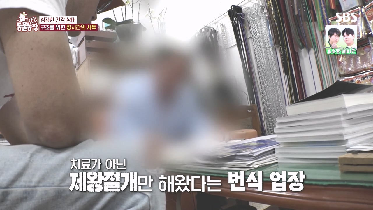 TV 동물농장.E1142.231023p-NEXT.mp4_20231022_172941.311.jpg