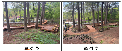 낙우송 이미지