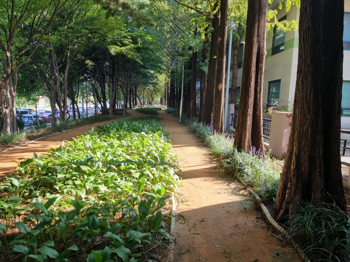 행복길-2