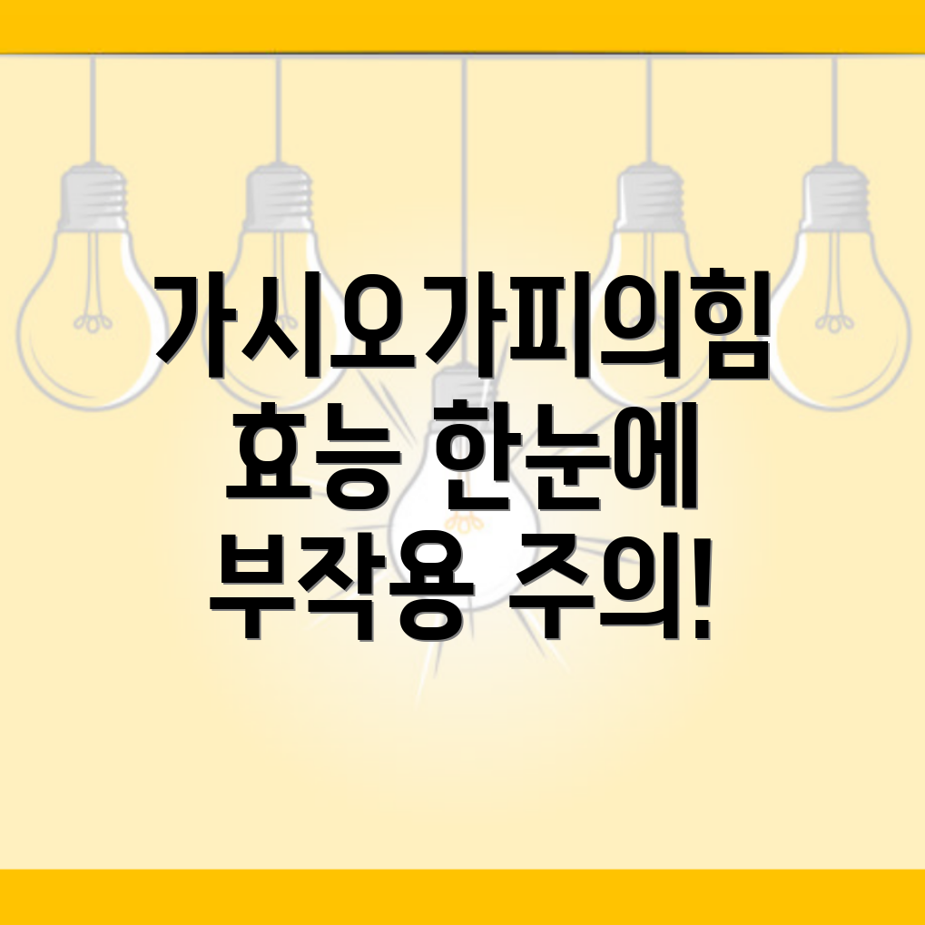 가시오가피 효능