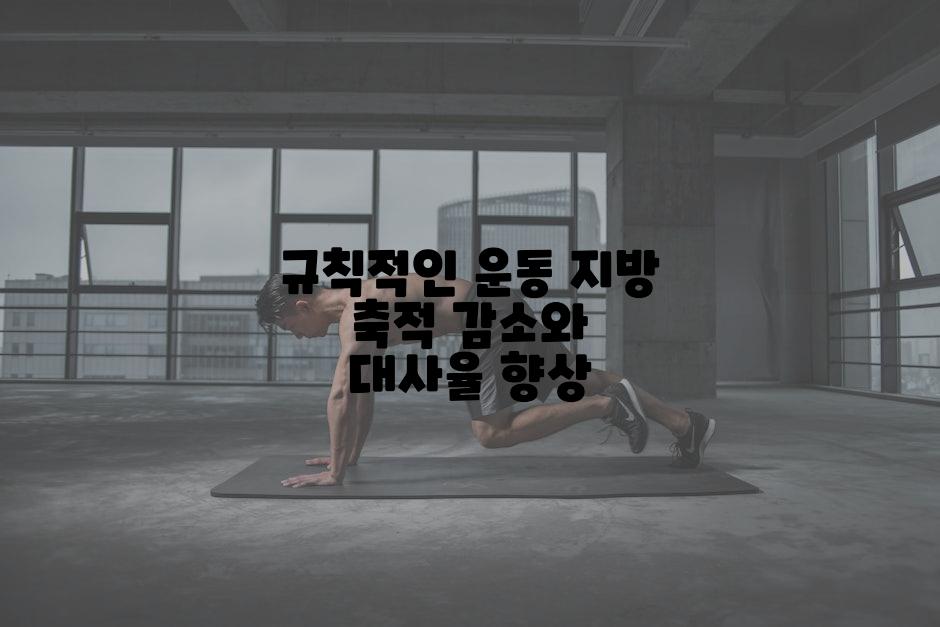 규칙적인 운동 지방 축적 감소와 대사율 향상