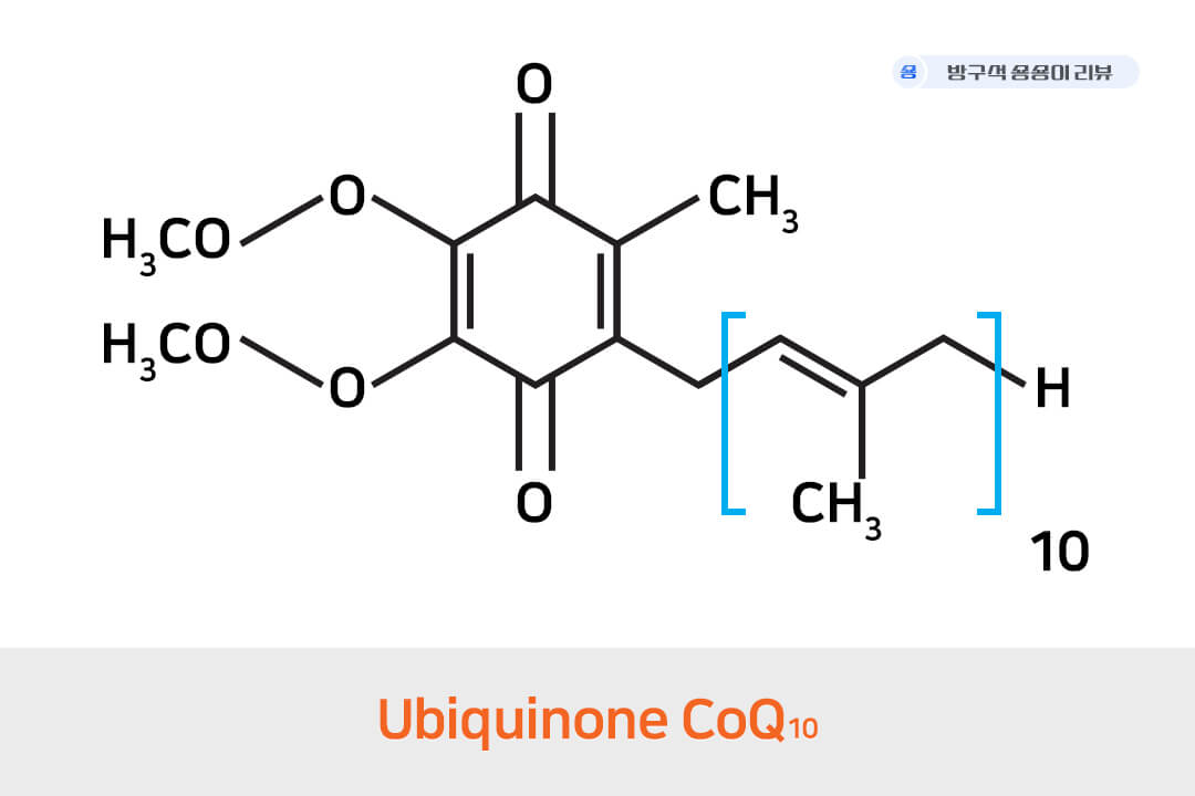 코엔자임-유비퀴논-Ubiquinone-coq10-화학공식
