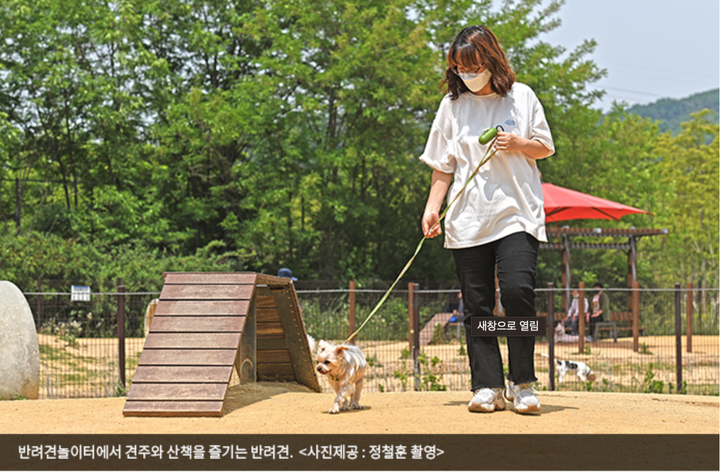 인천대공원 반려견 놀이터