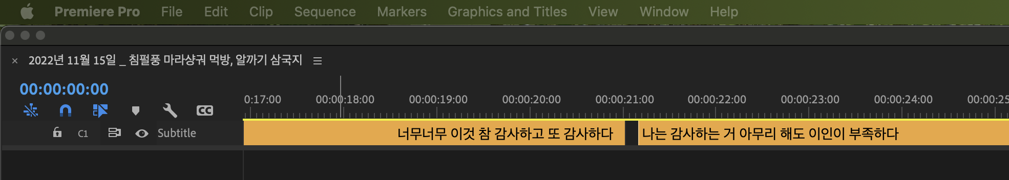 자막 트랙을 확대한 모습