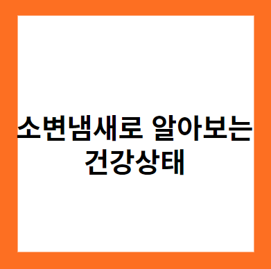 소변냄새로 알아보는 건강 상태 및 식습관 (소변냄새가 심할 때)