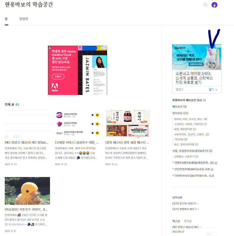  [애드핏광고 승인] 애드핏(Adfit)광고 승인완료후 수익얻기 도저언