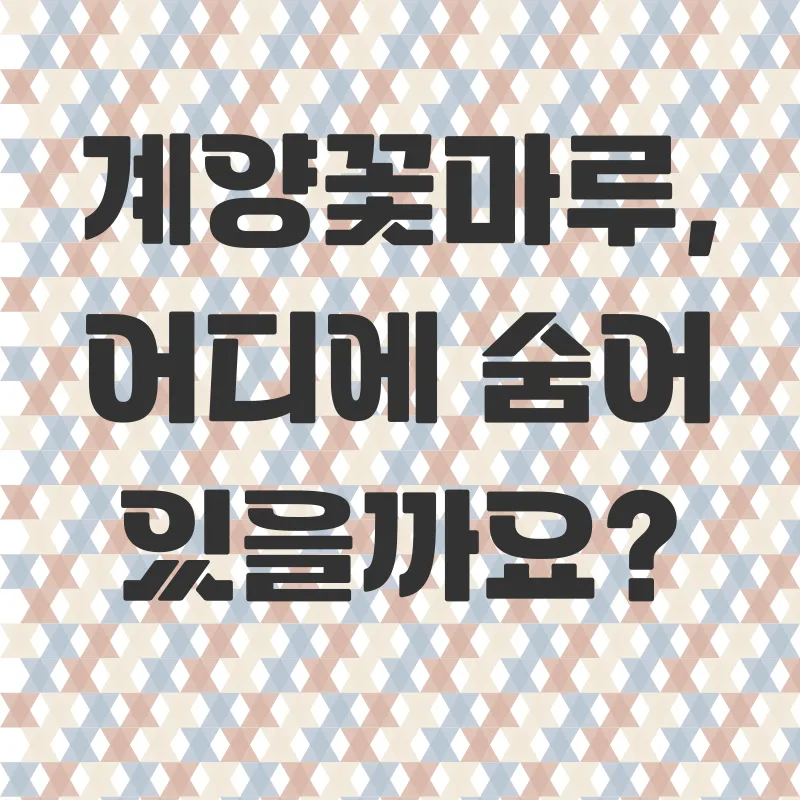 계양꽃마루 가을 코스모스_1