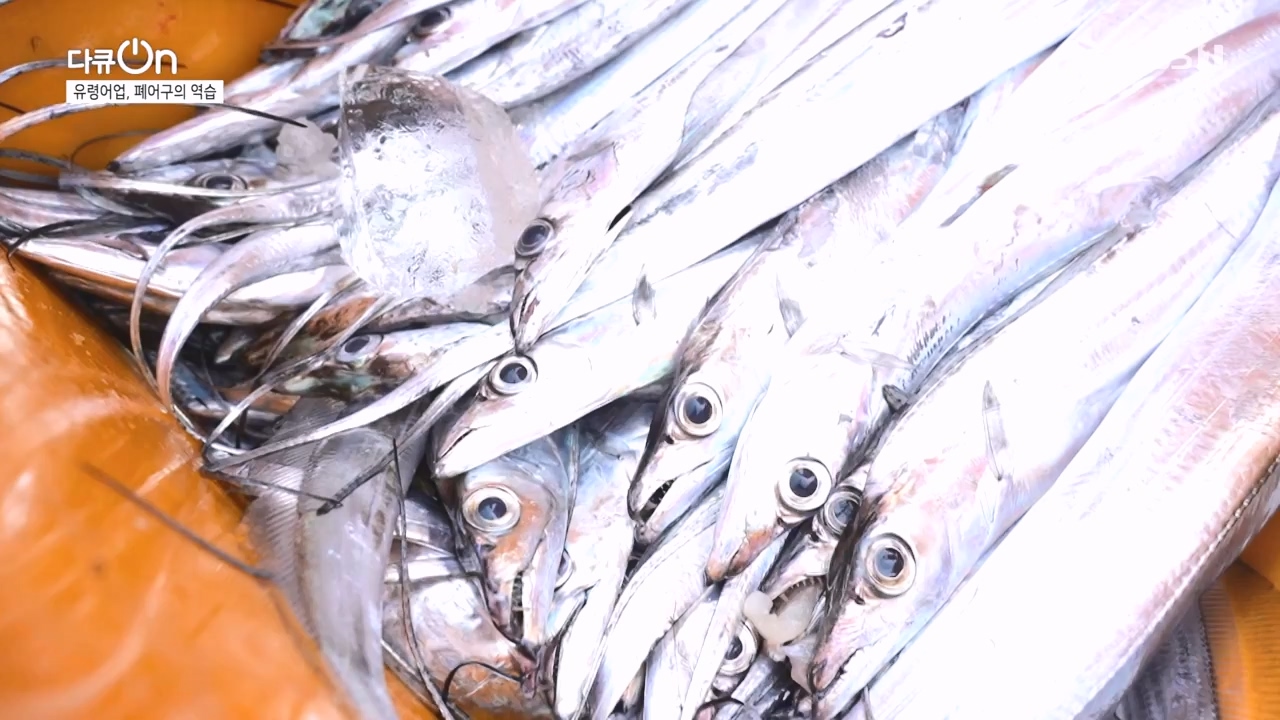 다큐 온.E223.231106p-NEXT.mp4_20231106_203645.337.jpg